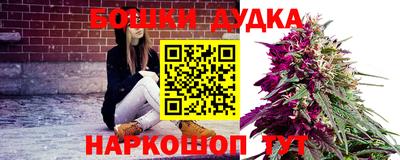 Альфа ПВП Кингисепп