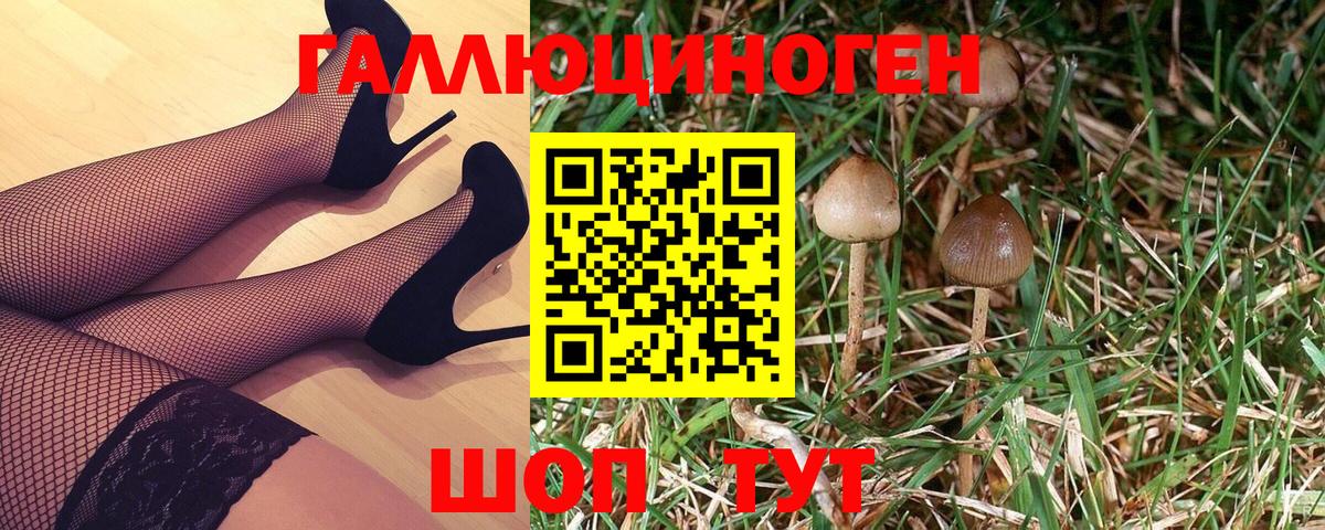 Галлюциногенные грибы мухоморы  Вход с VPN  Галлюциногенные грибы MAGIC MUSHROOMS  Чебоксары 