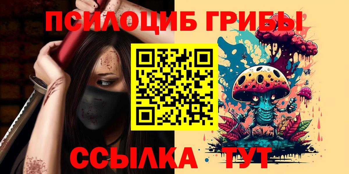 Галлюциногенные грибы Cubensis Чебоксары